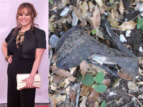 Jenni Rivera Body Part Photos Leaked After Crash, 2 Police。